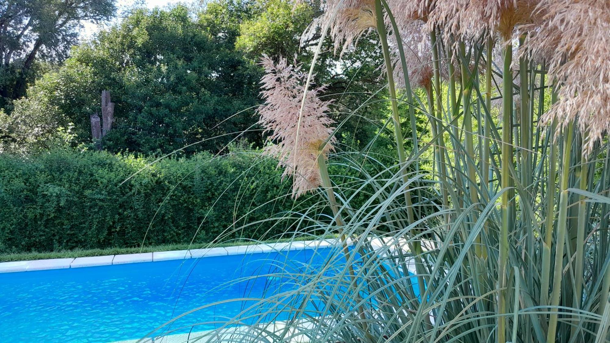 Holiday home El Buho *